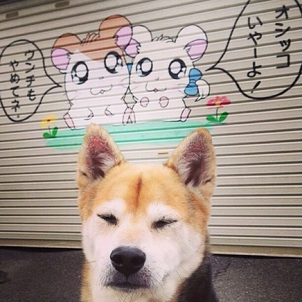 逆袭与闪耀，日本队翻盘德国队，戴资颖惊艳四座