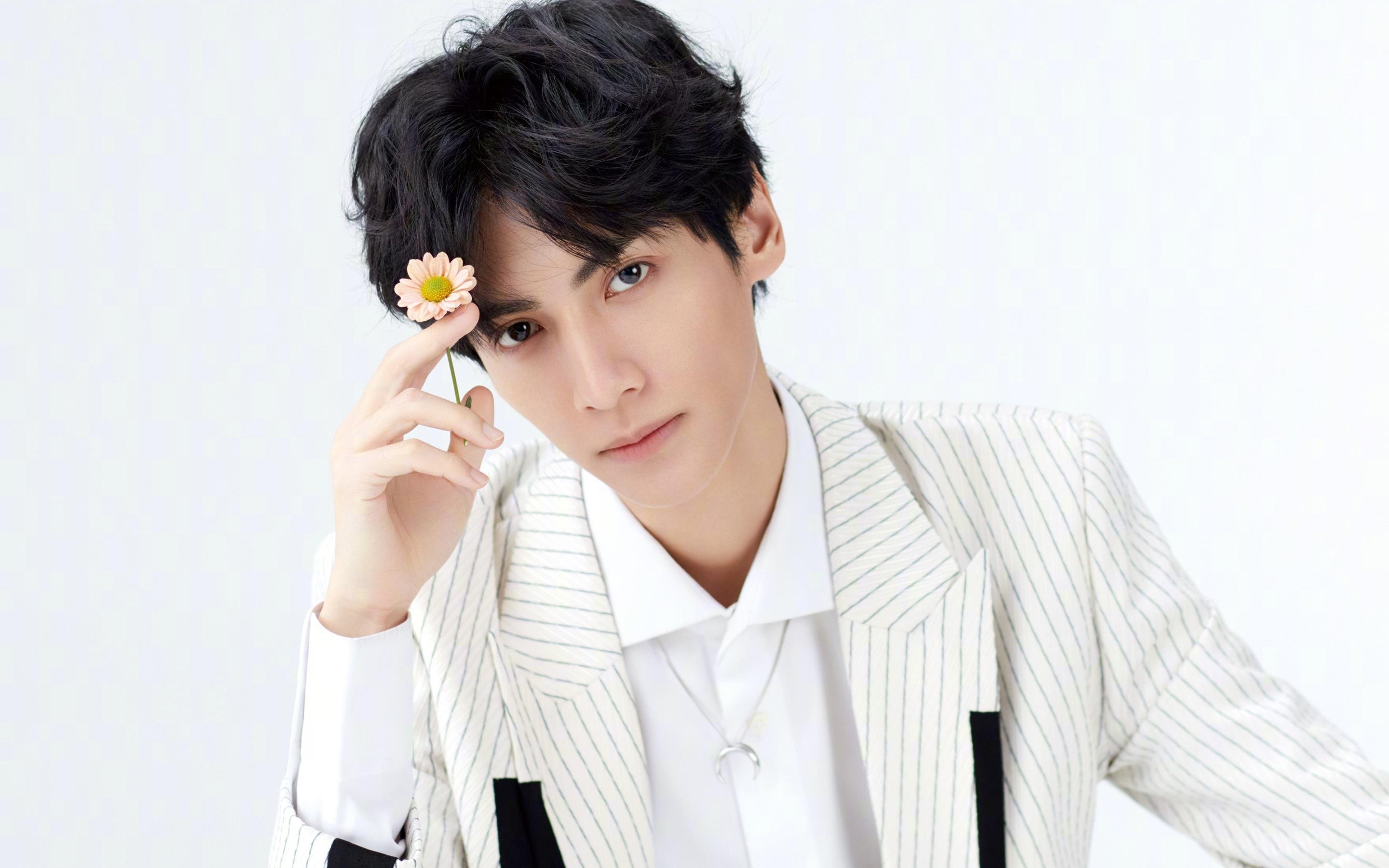 团结的樱花与独绽的寒梅，当整体性碾压遇见个体性燃烧