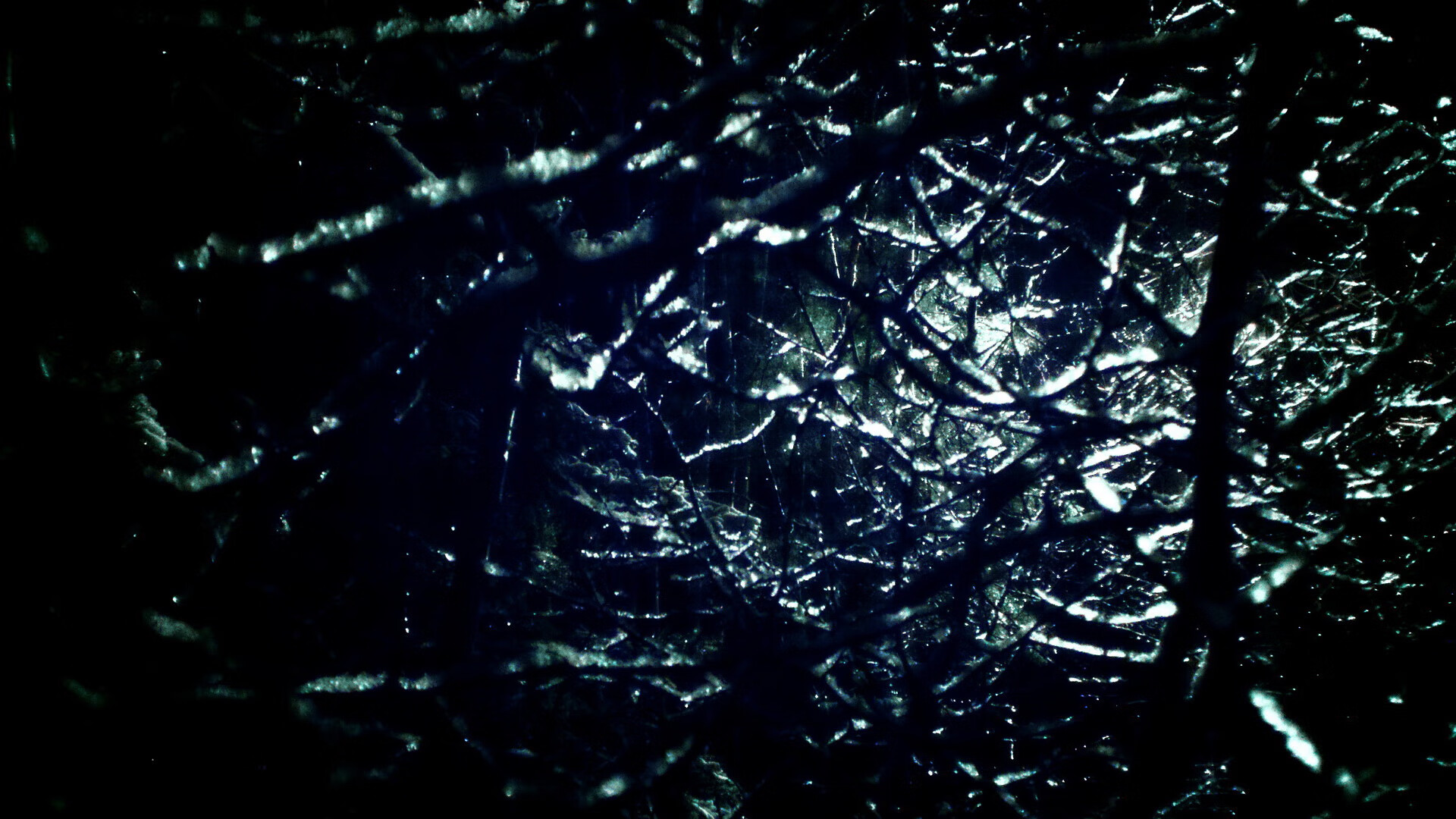 雪崩于无声处,当奥地利横扫瑞典,一粒范戴克式进球惊艳四座