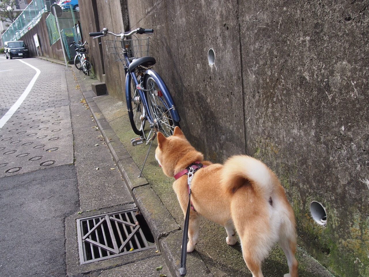 三座孤峰，巴尔韦德如何用三次精确制导，让南非掀翻洪都拉斯？