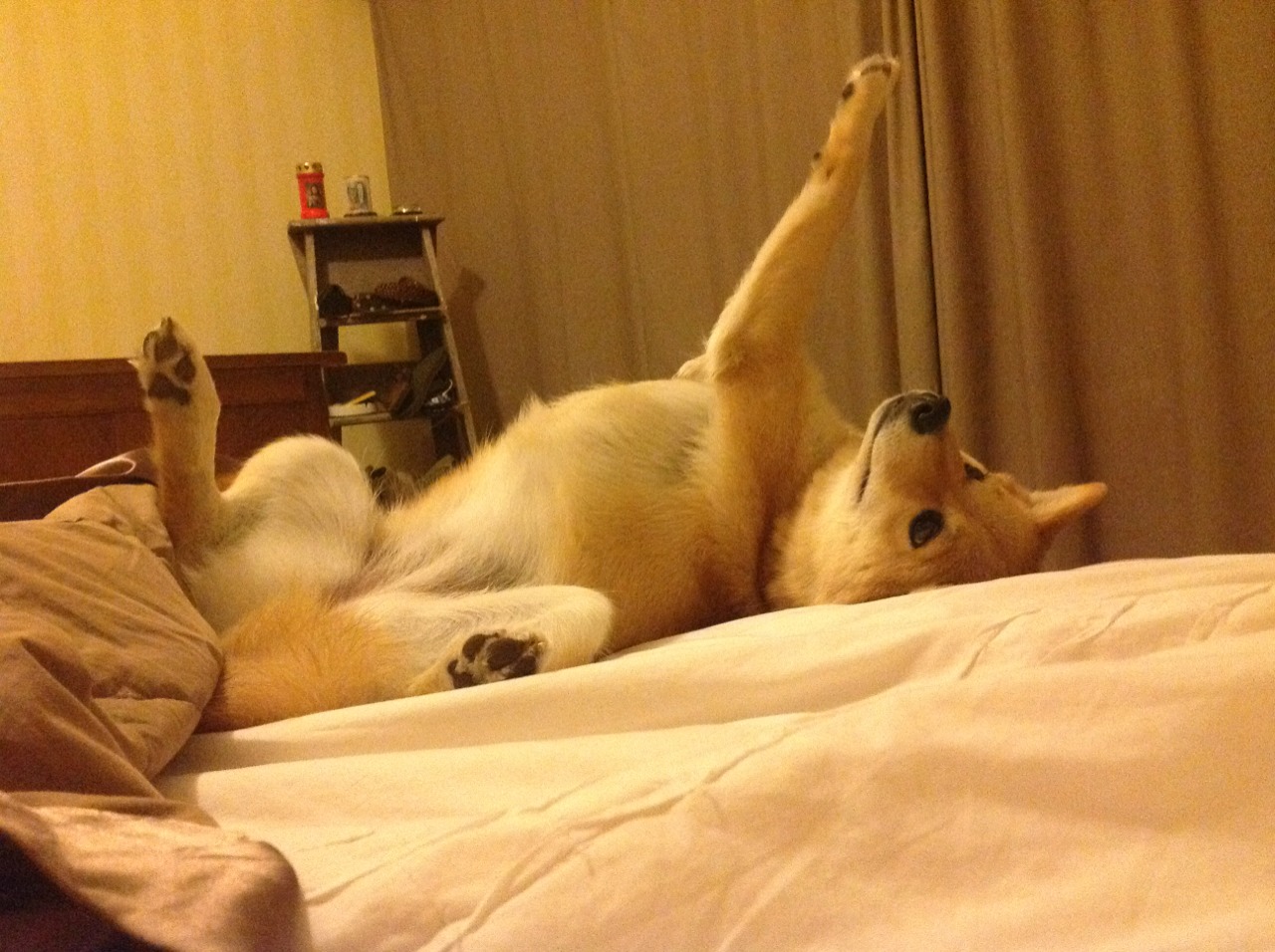 利拉德时间,冷酷三分划破洛杉矶夜空,快船高压防守下的终极答案