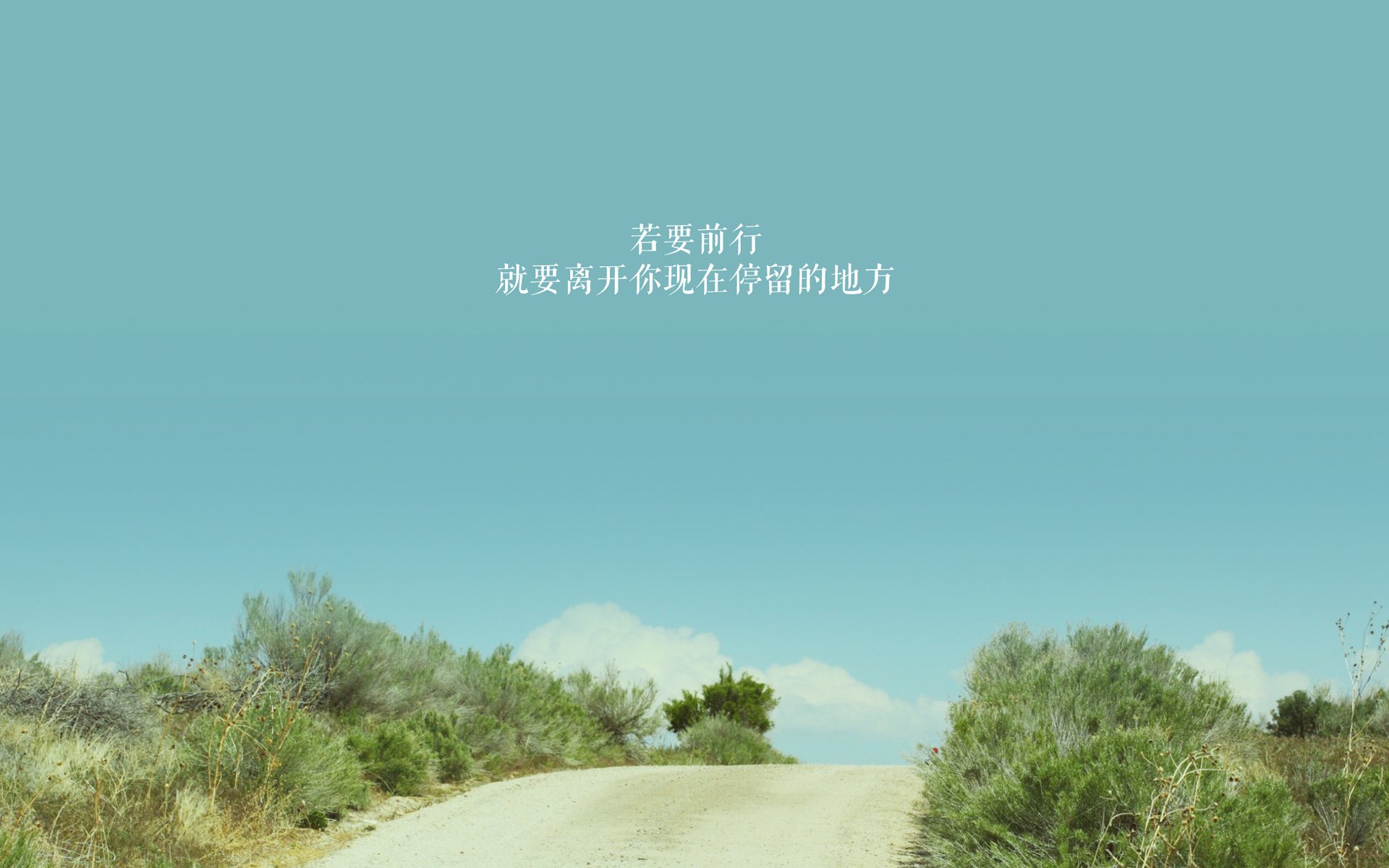 世界篮球格局裂变，绿军进化与字母哥国际赛场接管