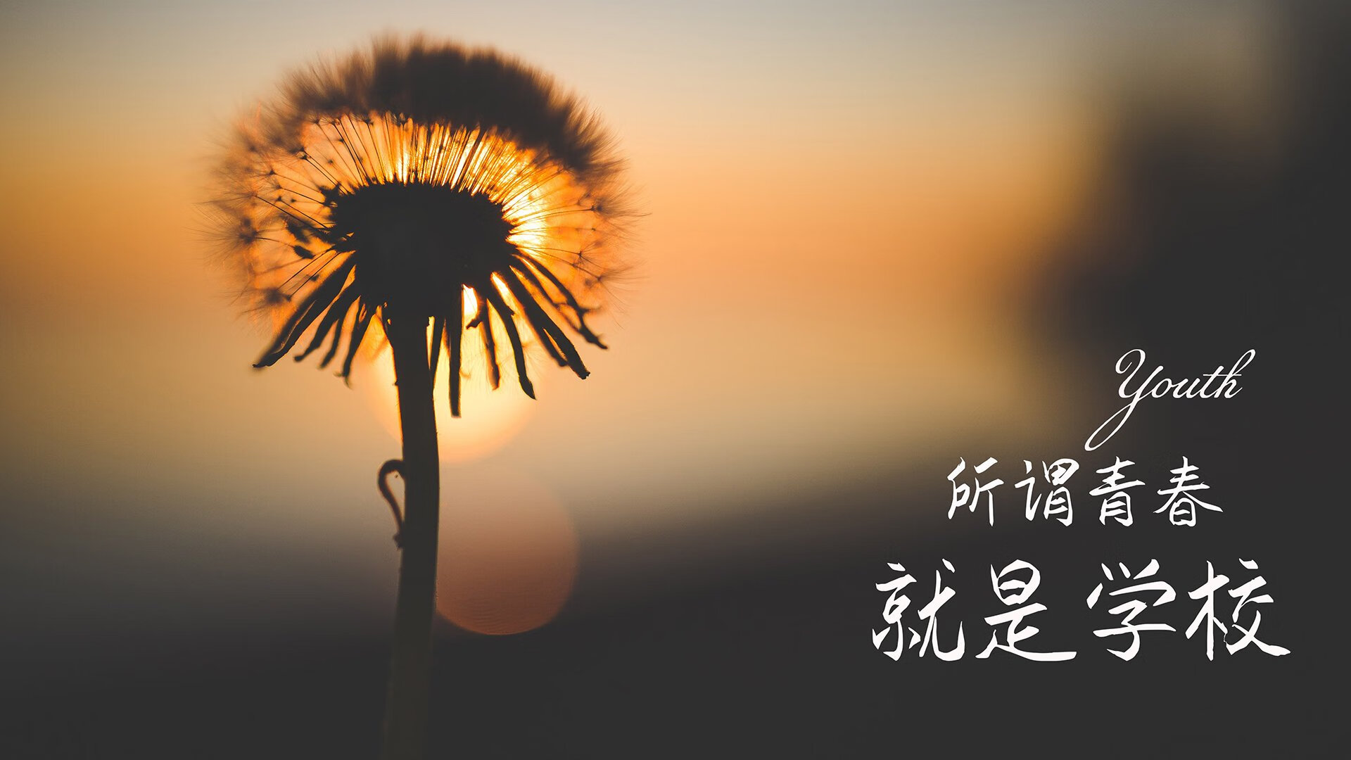 (备选)