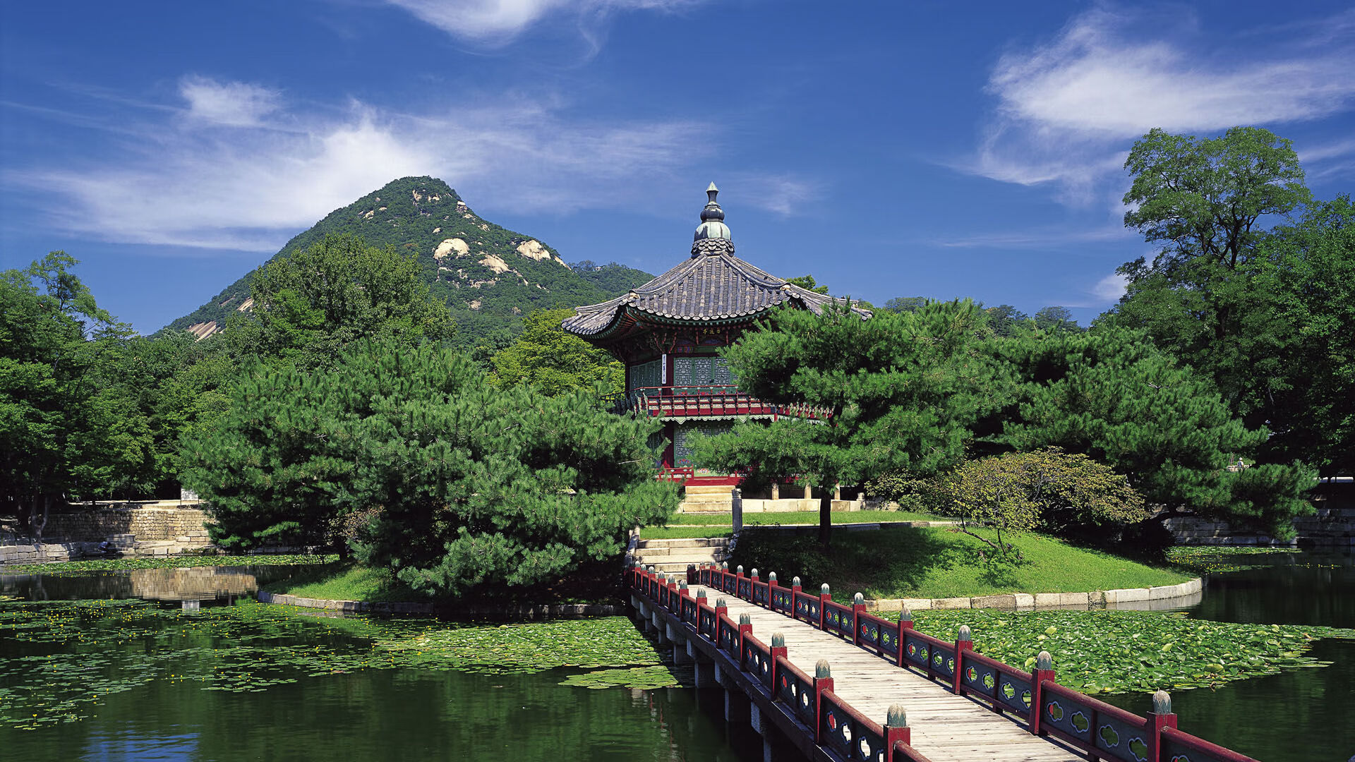 草原雄狮反噬安第斯雄鹰，2026世界杯B组暗夜中的血色逆转，C罗绝杀刻下不朽图腾