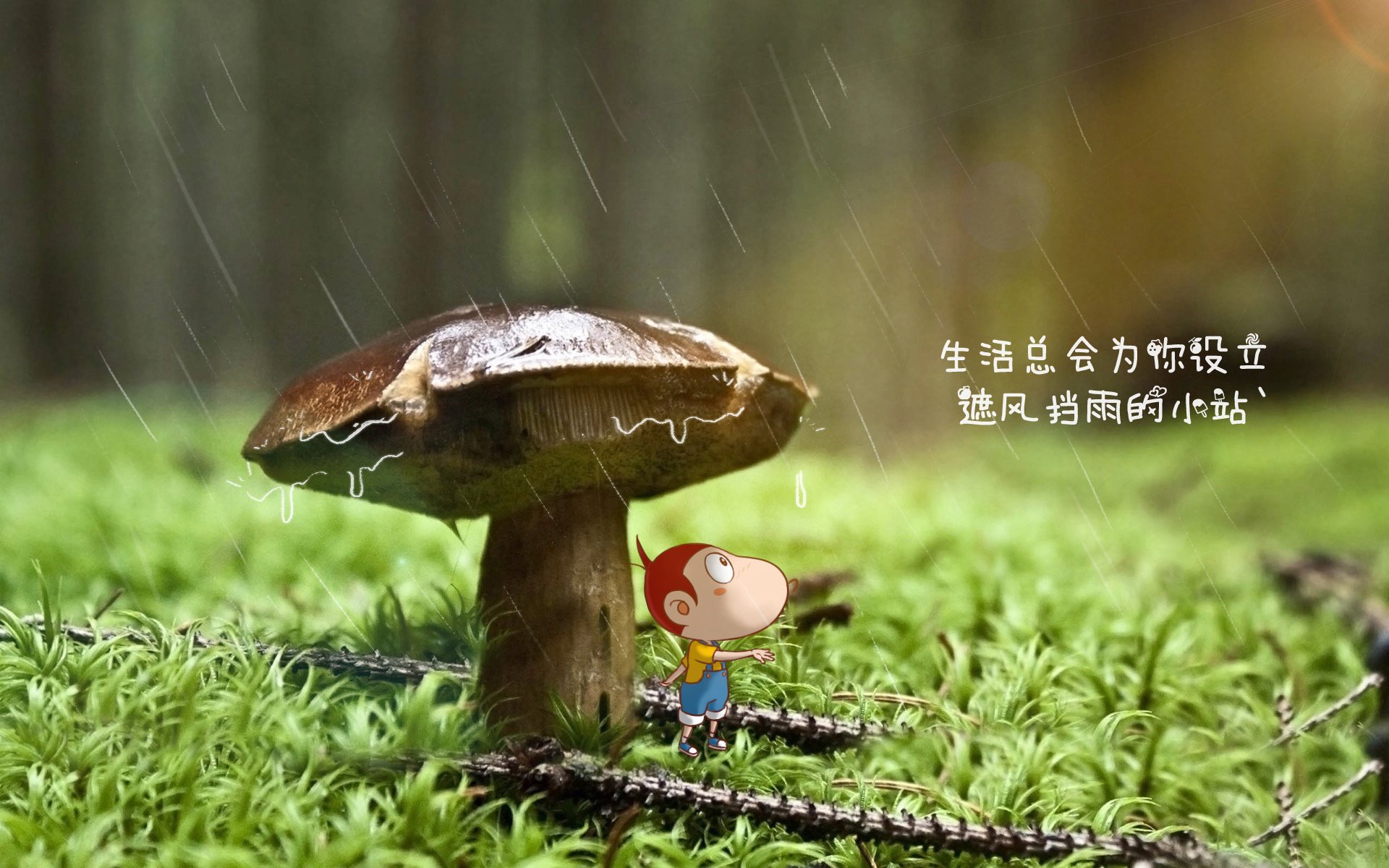 孤悬于命运之外的胜利,2026世界杯D组关键战,厄瓜多尔大破罗马尼亚,B费独掌乾坤